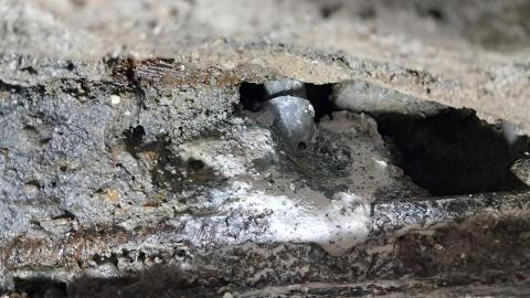 大禹治水油漆行 - 