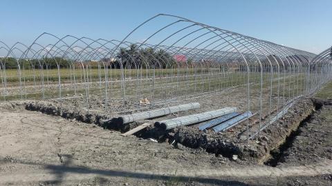 浩睿溫室工程行 - 