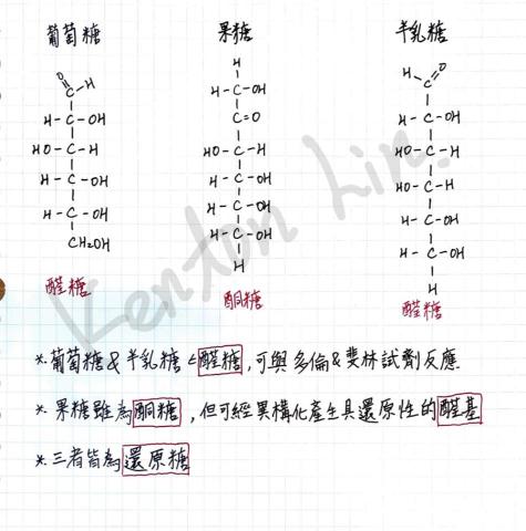 林楷哲 Kenton Lin - 提供延伸的教材