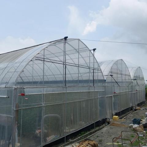 浩睿溫室工程行 - 