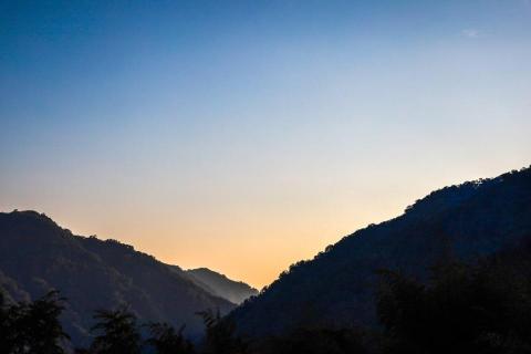 葉子 - 風景攝影