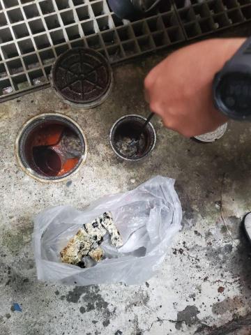 菁晏企業社 -  菁晏企業社 -