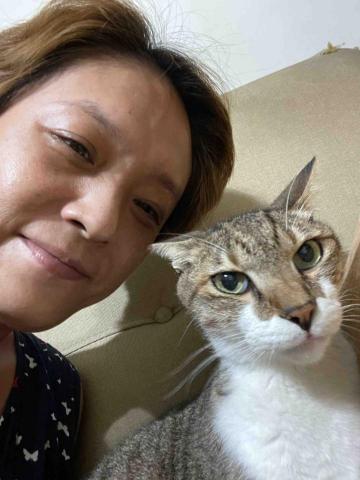 阿肥的家 - 貓兒子