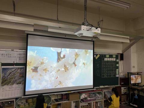 花蓮阿比水電 - 