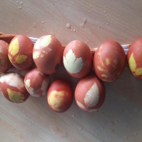 提供吹直笛服務的專家恩如陳