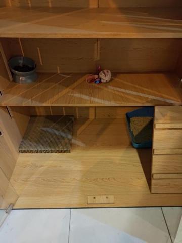 阿月寵物保姆 - 這個是清理完成的樣子