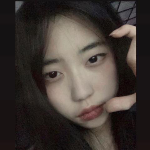 提供sbir代寫服務的專家이크