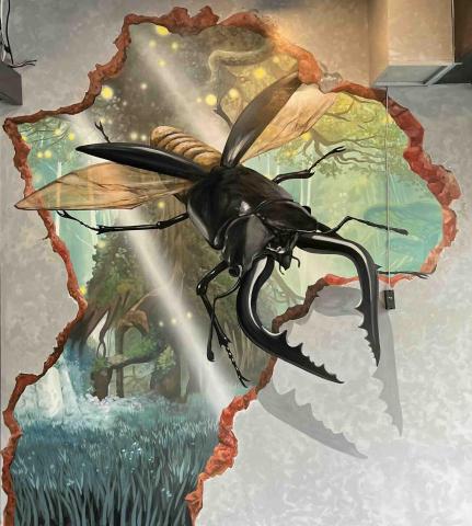 寒藝靈彩有限公司 - 甲蟲店-3D立體 寒藝靈彩有限公司 - 甲蟲店-3D立體