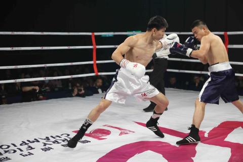 拳魂鈞鈞-拳擊&肌力訓練 -  拳魂鈞鈞-拳擊&肌力訓練 -