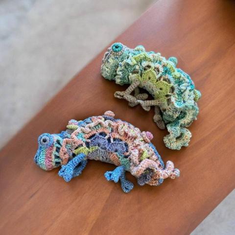 奧莉 - 變色龍網袋