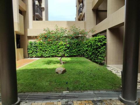 台南園藝行 - 草皮灌木維護工作