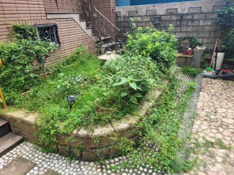 于森園藝企業社 （林先生） - 施工前