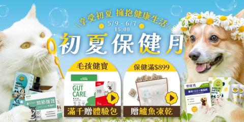 龍個人工作室 - Banner