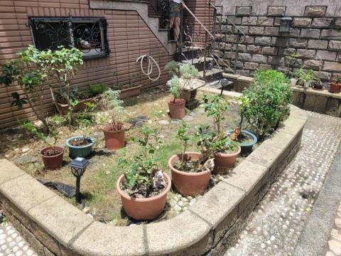 于森園藝企業社 （林先生） - 施工後