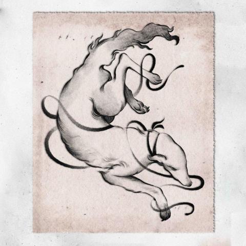 Kim Shen Illustration - 