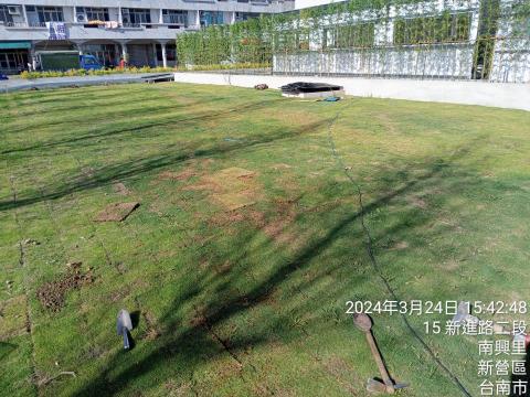 阿慶仔造景 - 草皮舖設