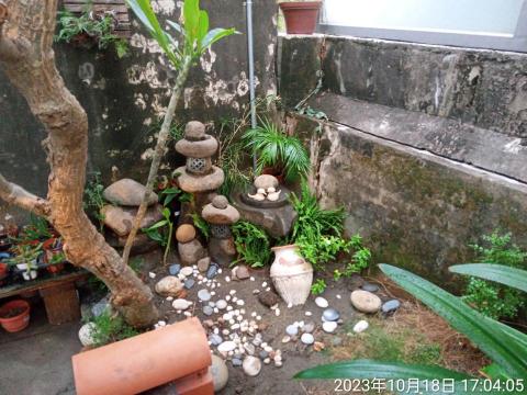 阿慶仔造景 - 小坪數造景