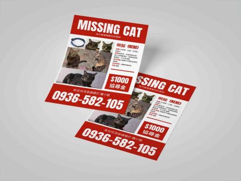 Helen - 寵物失蹤傳單