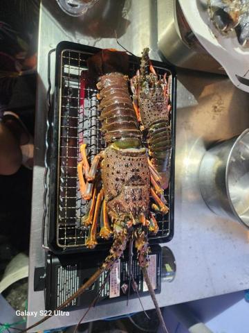 昇潾海市S.L.S.C  ／Jason教練 - 