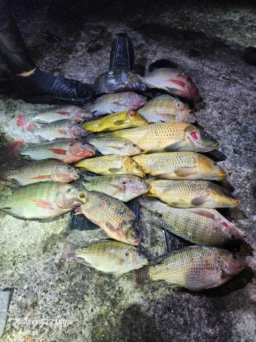 昇潾海市S.L.S.C  ／Jason教練 - 