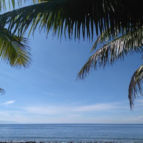 提供機車美容店服務的專家陳