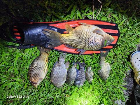 昇潾海市S.L.S.C  ／Jason教練 - 