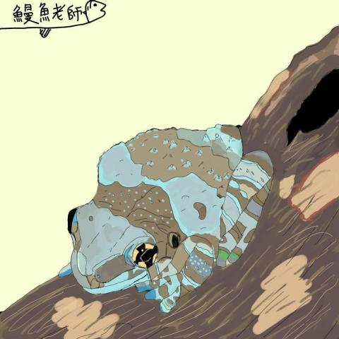 江承翰 - 寵物似顏繪：牛奶樹蛙