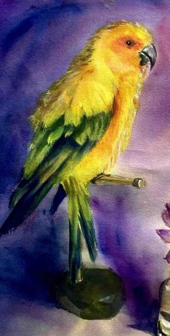 謝毛毛 - 水彩-鳥