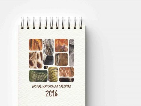 林芳羽 -  水彩月曆設計