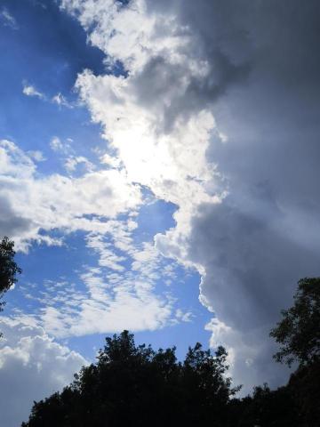 提供capcut轉場服務的專家剪輯委託可找我