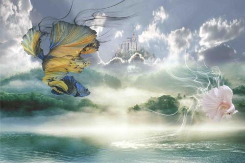 物之手作 - Photoshop / 影像處理 / 專業去背