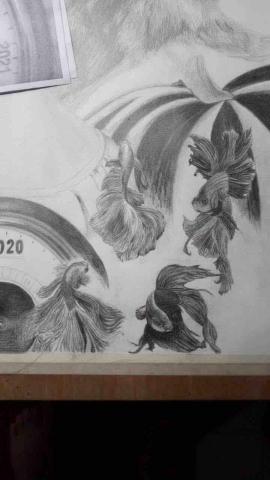 物之手作 - 精雕素描 / 2020 / 4B鉛筆 素描紙