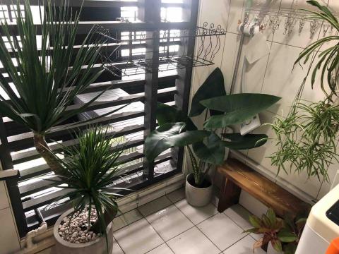 好心情植栽 - 選植龍血樹、斑馬觀音蓮等低養護觀葉植栽。
搭配泥作盆器。