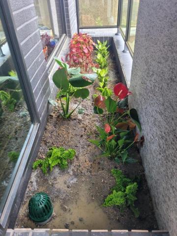 于森園藝企業社 （林先生） - 施工後