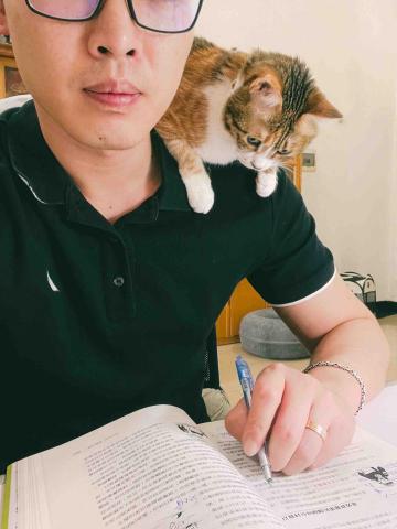 提供台中租屋代管服務的專家台中貓青旅 Cat Hostel Taichung