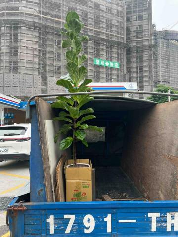 守美藝術工程行 - 