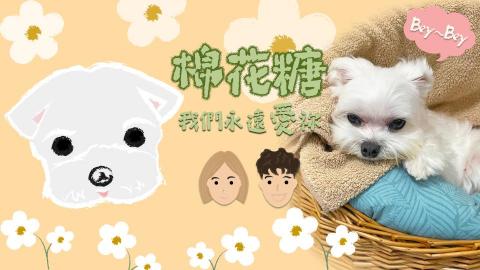 Mia蜜雅 - 片頭動畫https://drive.google.com/file/d/1oKb2xxXBAhzqCm3fsOtCK89u65eR2VJp/view?usp=drive_link