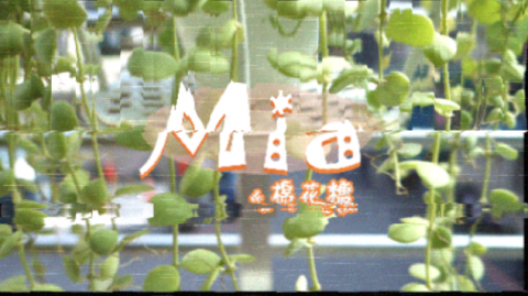 Mia蜜雅 - 片頭雜訊特效
