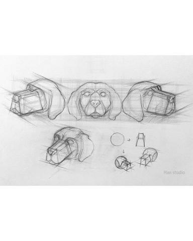 Han studio  邱柏翰 - 課堂示範狗的基本結構分析簡圖 ，喜愛狗的朋友可以參考形狀簡化的手法喔