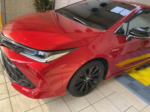 凱膜KingMembrane - 