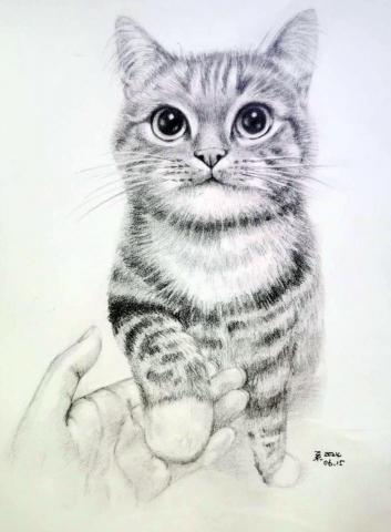 小星人繪繪課 - #寵物似顏繪 #鉛筆素描