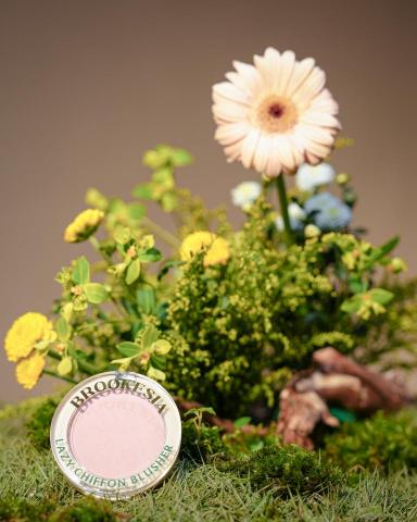 母雞島影像工作室 - 