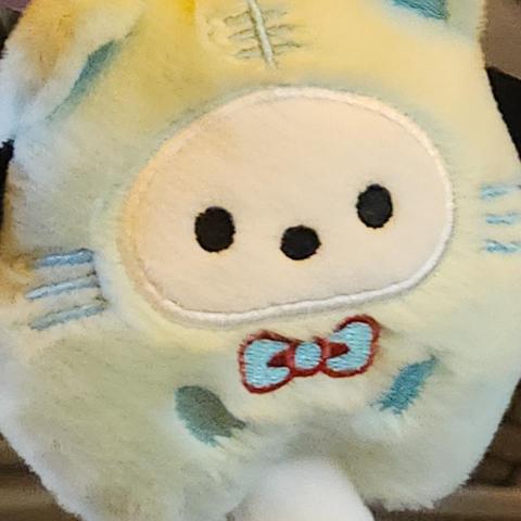 提供配音服務的專家Joyce