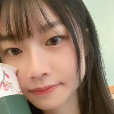 提供n4服務的專家小唯