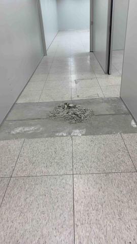 曜藝設計工程 - 新莊塑膠地板拆除 重鋪新地板