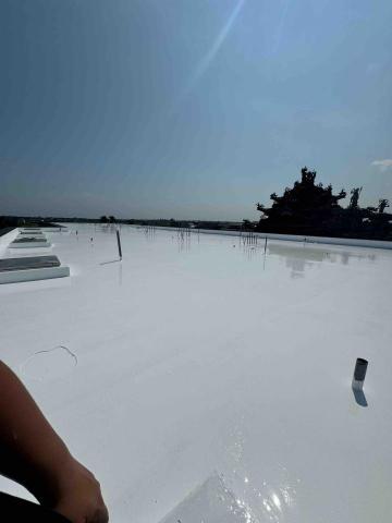 晟旭創新有限公司 - 