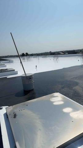 晟旭創新有限公司 - 