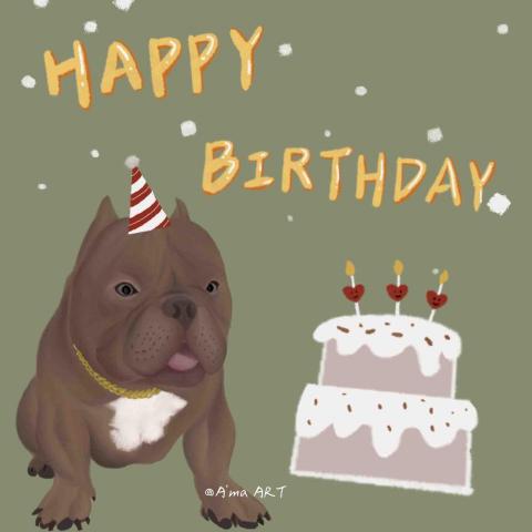 A'ma ART - 寵物！