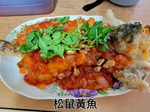 鄧凱升 - 松鼠黃魚