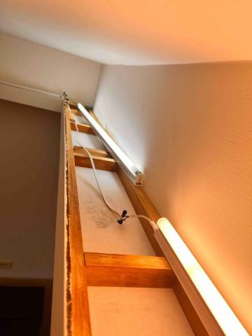 潔白專業清潔 - 